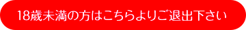 18歳未満の方はこちらよりご退出下さい